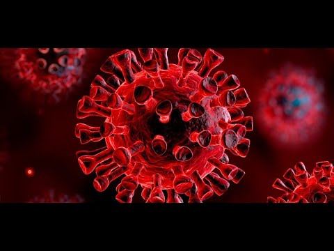 OMS mantiene el nivel máxima de alerta para la pandemia de COVID-19