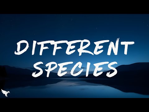 Offset & Gunna - Different Species (Lyrics)