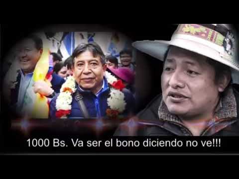Revelan audio de Viceministro donde pide recuperar el MAS y que Evo Morales ya no sea más el presid