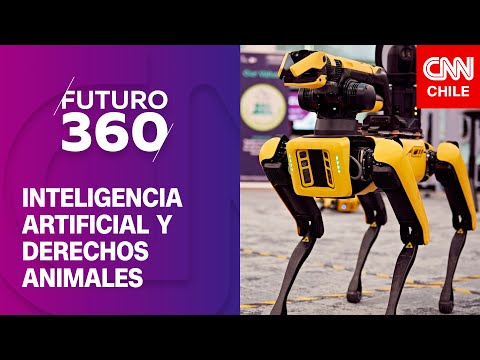 Inteligencia artificial y derechos animales | Futuro 360 | Capítulo 268