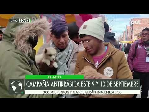Rabia canina: Declaran alerta sanitaria epidemiológica por rabia humana en La Paz