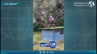 وش عرفها في السواقة