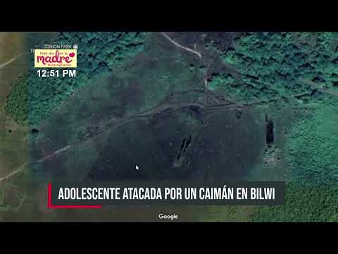 Pequeño caimán muerde a una adolescente en un río en las afueras de Bilwi