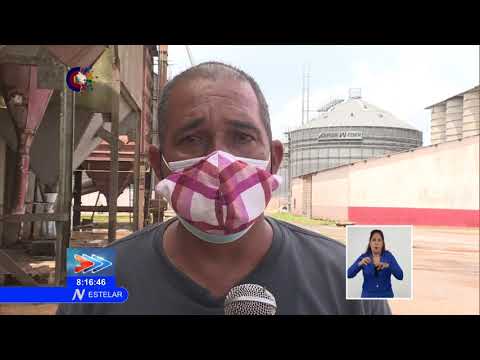 Cuba: municipio Los Palacios afectado por Huracán Ida