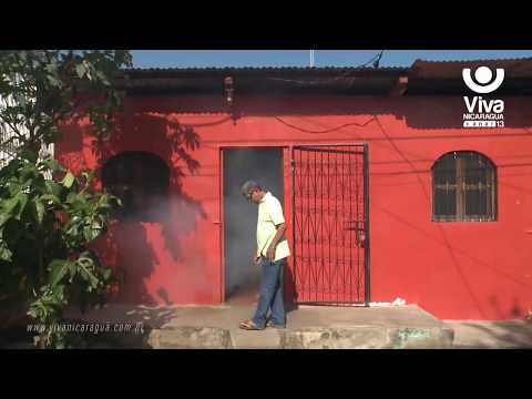 Brigadas de fumigación visitan el barrio Romín Manrique, Managua