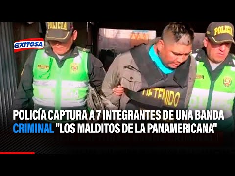 Arequipa: Policía capturan a 7 integrantes de una banda criminal Los malditos de la Panamericana