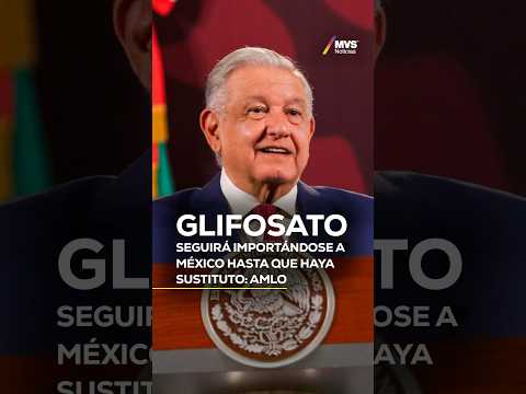 Glifosato seguirá importándose a México hasta que haya sustituto: AMLO #AMLO #glifosato