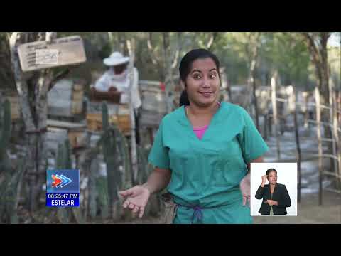 Joven apicultora del oriente de Cuba desafía el clima para ejercer su labor