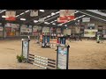 Show jumping horse 4 jarige merrie Verdi x Concorde x Ramiro