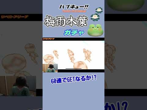 梅雨木葉がどうしても欲しいっ!!【ハイキュー!!】 #ハイキュー #リベロ #バレーボール