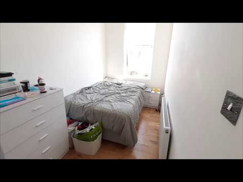 Still House Plants Concert Tickets - 2026 Tour Dates.