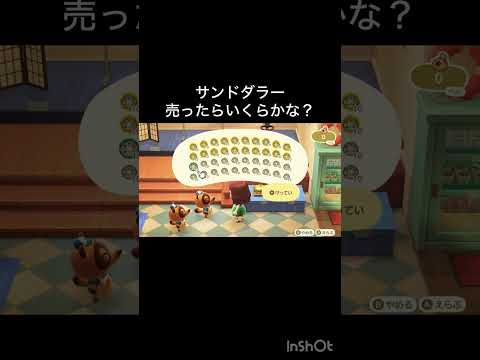 How much Bells can I make by selling everything? #vlog #あつ森 #あつまれどうぶつの森 #こはくちゃんねる2424 #毎日更新