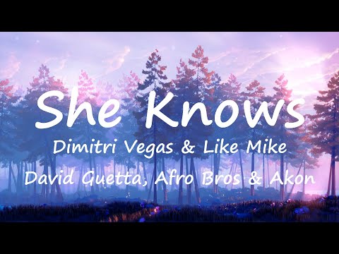 Dimitri Vegas & Like Mike, David Guetta, Afro Bros & Akon - She Knows (Lyrics Video)