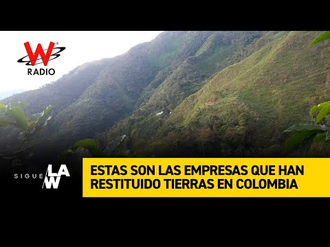 Estas son las empresas que han tenido que restituir tierras en Colombia