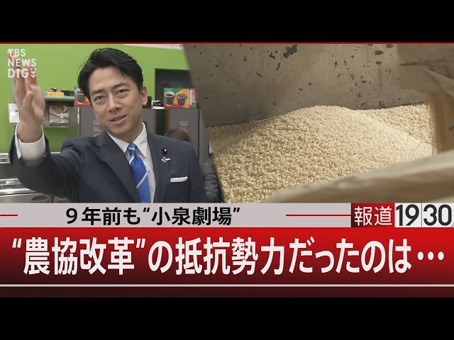 Image of The Real Battle Behind Rice Reform: Revisiting Koizumi's JA Clash Nine Years On