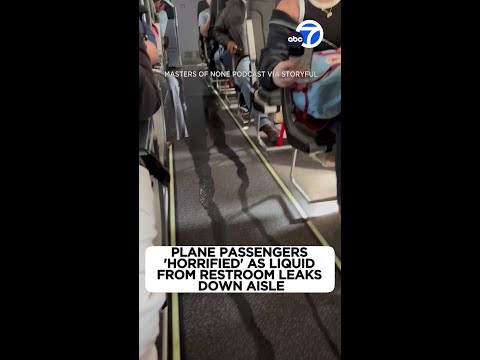 Plane passengers 'horrified' as liquid from restroom leaks down isle