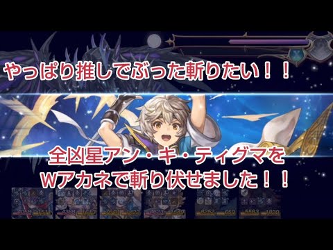数々の運ゲーを乗り越えて、全凶星発動アン・キ・ティグマをWアカネで斬りました！（ラストアナザーフォースのみ)
