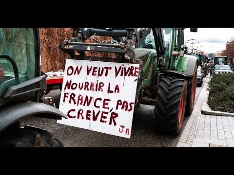 «L'État fait la sourde oreille» : près de Toulouse, des agriculteurs bloquent l’autoroute A64
