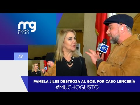 #muchogusto / Pamela Jiles destroza al Gobierno por Caso Lencería