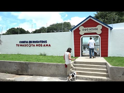 Dog House, un lugar especializado para perros en Managua