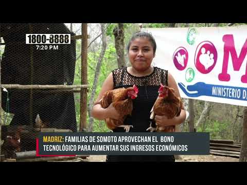 MEFCCA fortalece emprendimiento de rubro avícola en Somoto - Nicaragua