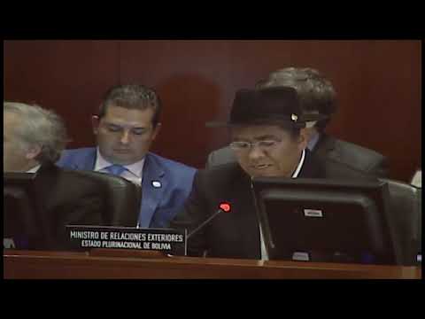 Intervención del Canciller Diego Pary en la OEA
