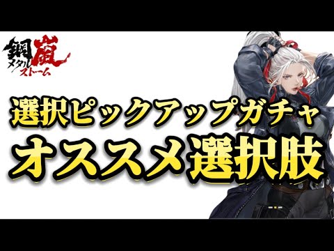 【鋼嵐-メタルストーム】選択ピックアップガチャは操縦士とSTどれ選べばいいか考案します #メタスト #選択型 #ピックアップガチャ