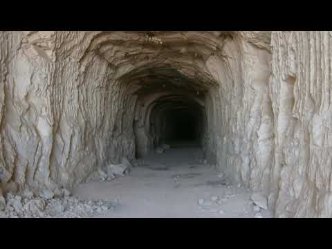 Encounters with Pale Crawlers.