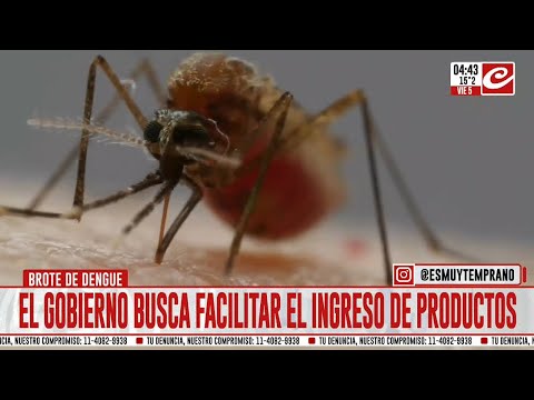 Alerta dengue: el Gobierno autorizó la importación de repelentes