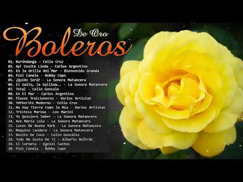 Boleros De Oro y Siempre Bienvenido Granda, La Sonora Matancera, Daniel Santos, Celia Cruz y mas