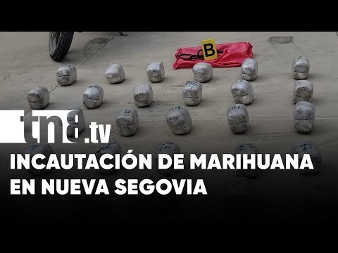 125 libras de marihuana incautada en Nueva Segovia - Nicaragua