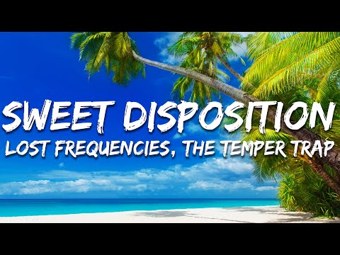 Lost Frequencies, The Temper Trap - Sweet Disposition (a moment, a love) (Lyrics)