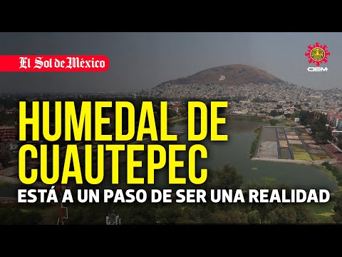 Humedal de Cuautepec está a un paso de ser una realidad