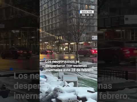 ? Nueva York recibe la primera nevada de la temporada