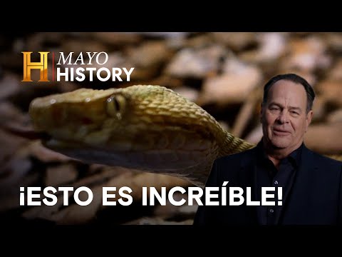 INCREÍBLE CON DAN AYKROYD | Mayo en History