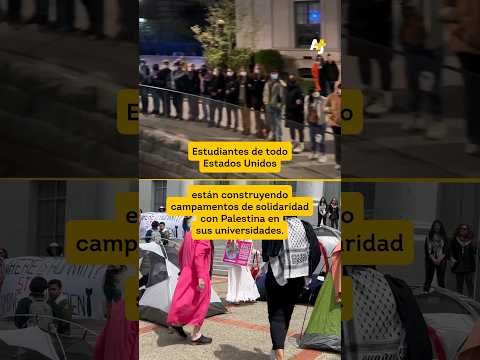 Más universidades de EE. UU. protestan contra Israel #shorts