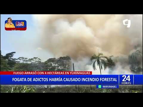 Yurimaguas: voraz incendio consume más de cuatro hectáreas de madera