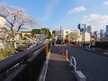 柏橋 (かしわはし) Kashiwahashi 神田川