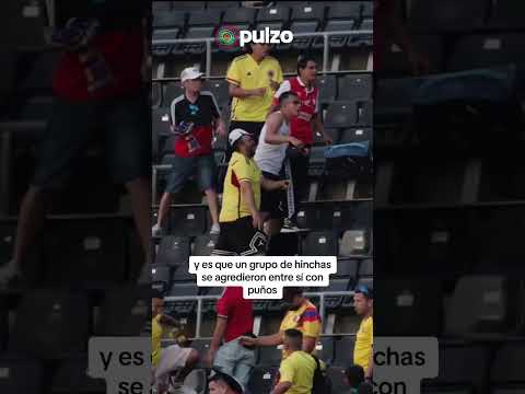 'Hinchas' de Colombia se agarraron en partido de la Selección: hasta sillas volaron | Pulzo