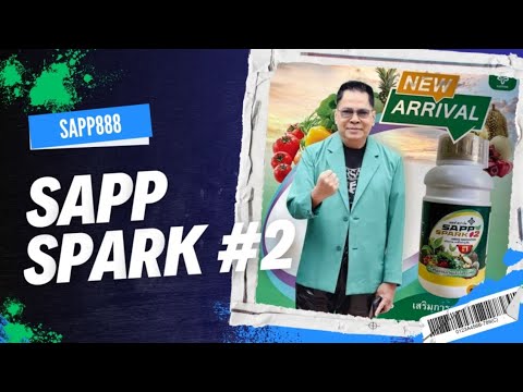 sappspark:แซฟสปาร์คนวัตกร