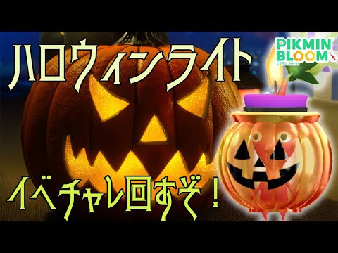 ハロウィンライトは可愛いから何匹いてもいいけどそろそろコンプしたいの……【ピクミンブルーム/PikminBloom】