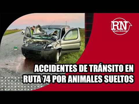 Accidentes de tránsito en ruta 74 por animales sueltos