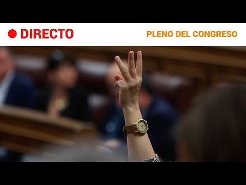 CONGRESO  EN DIRECTO: PLENO de la CÁMARA BAJA (24/09/2024) | RTVE Noticias