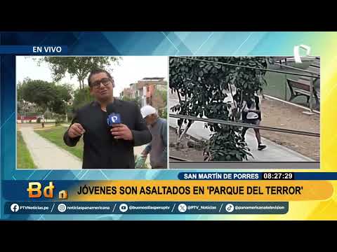 SMP: asaltan a pareja de jóvenes en parque Fernando Tola