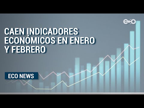 Caen indicadores económicos en los dos primeros meses del año | ECO News