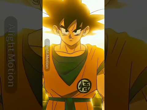 Goku(Base)DragonBallZVsGo