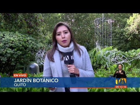 En el Jardín Botánico de Quito se expone un Bosque de Luz