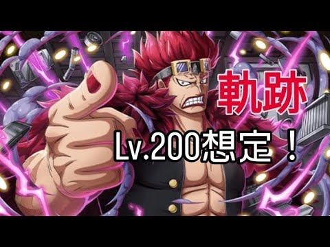 トレクル 海賊王への軌跡 Lv.200想定！自陣最新特攻キャラ1体所持編成