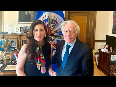 ¡CHALE! NO, NO ES LA CARABINA DE AMBROSIO, ES KENIA LÓPEZ QUIEN EN LA OEA ACUSANDO A AMLO POR OTIS