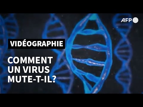 Qu'est-ce que la mutation d’un virus  | AFP Animé